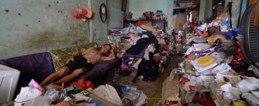 np_20150429_jnbug-nbm_848227_0