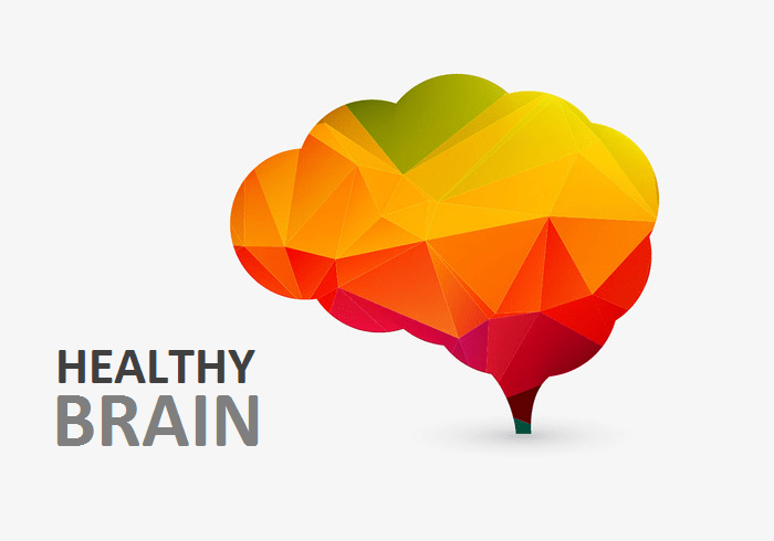 vector-colorful-creative-brain.png