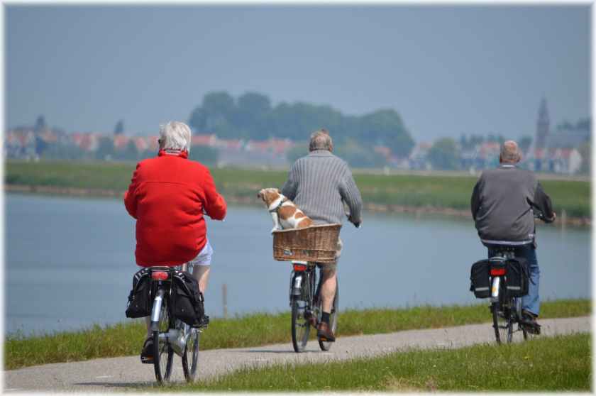 active bikes cyclist elderly